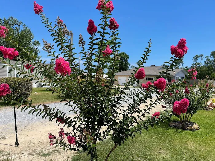 Azalea Bay RV Park 5