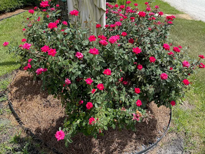 Azalea Bay RV Park 9
