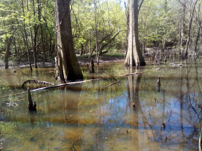 Moodys Landing 8