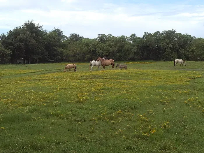 Meadows 2