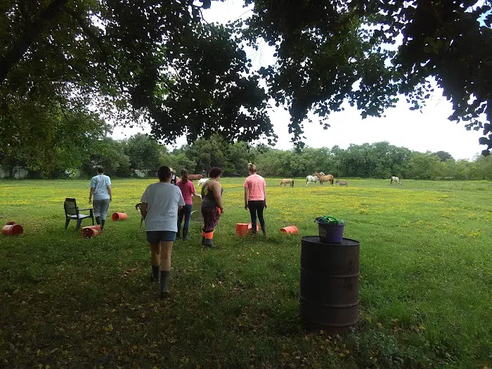 Meadows 3