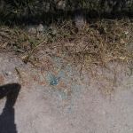 Anderson Oaks Park