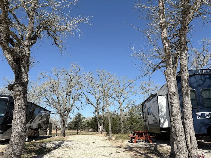 Shade Tree RV Park 8