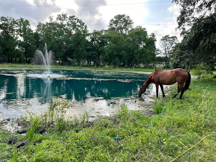 Gray Ranch 4