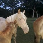 Glory RV Park