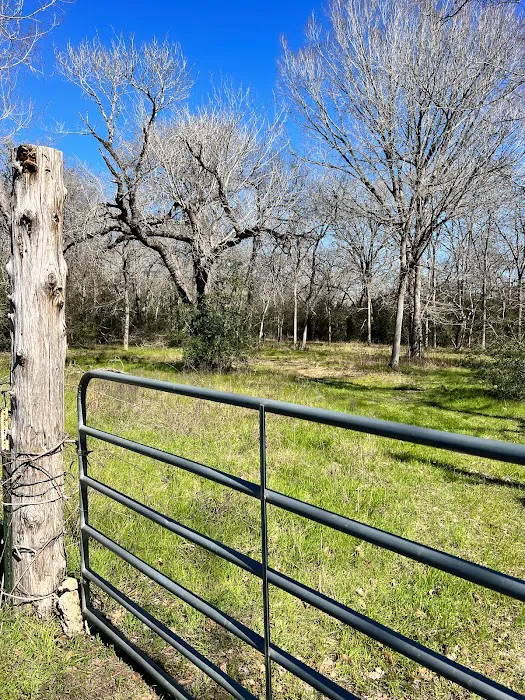 Enchanted Oaks Campground 4