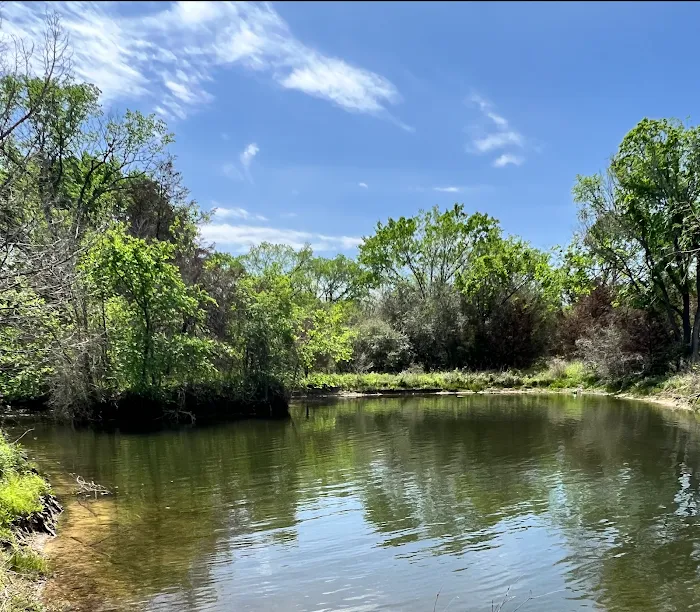Enchanted Oaks Campground 7