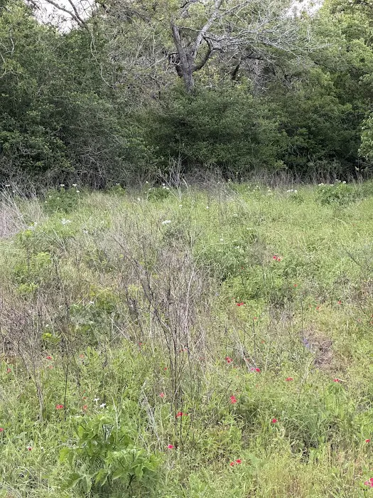 Enchanted Oaks Campground 9