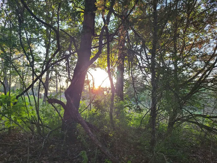 Enchanted Oaks Campground 13