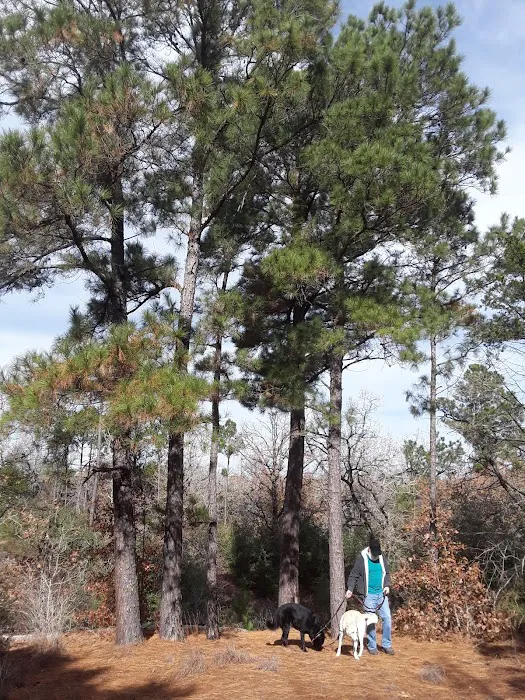 Lost Pines RV Park 9