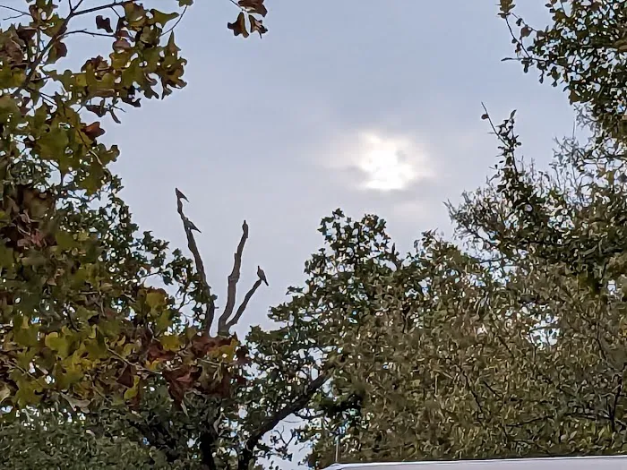 Bluebonnet Campground 4