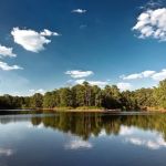 River Forest Haven