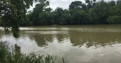 Aredondo Acres 10
