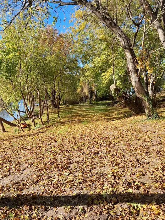 Texas Music River Ranch 7