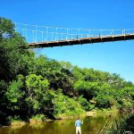 Regency Bridge Park LLC