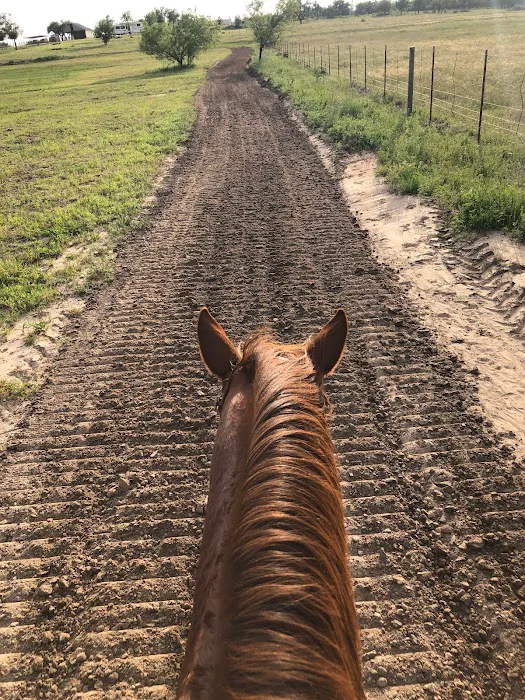 Cat Tail Creek 7