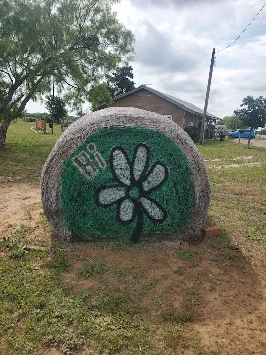 Lonesome Dove RV Park and Camp ( Stephenville, Tx) 8
