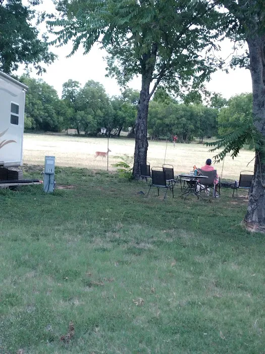 Barnard Street RV Park 2