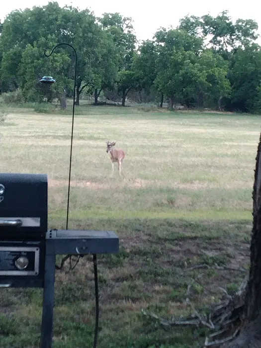 Barnard Street RV Park 7