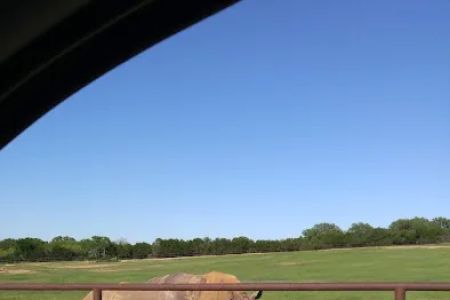 Country Meadows