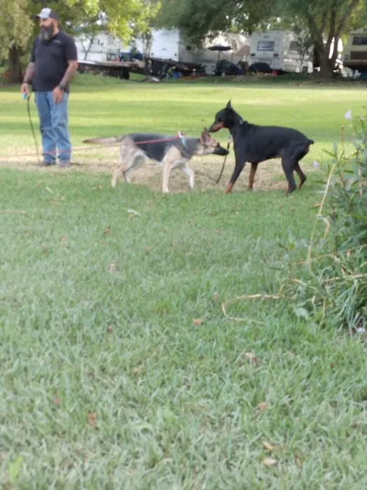 Bayou Campground 1