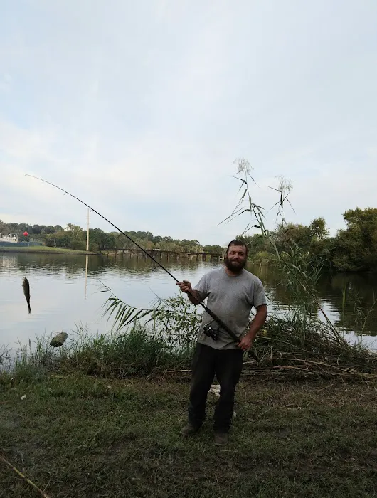 Bayou Campground 2