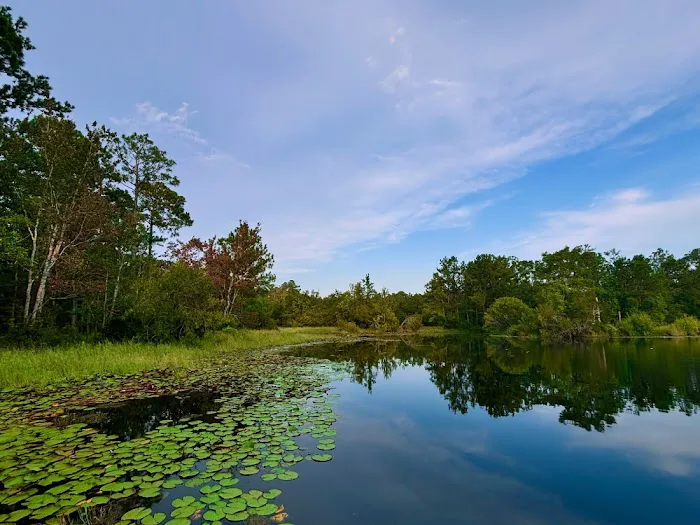 Magic River Campground 8