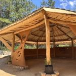 All You Need Institute