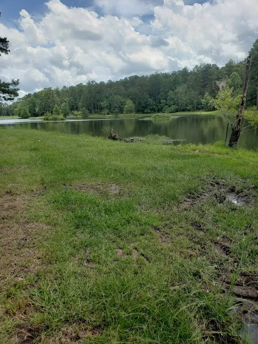 Turkey Fork Recreation Area 2