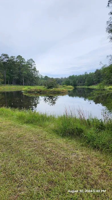 Turkey Fork Recreation Area 4