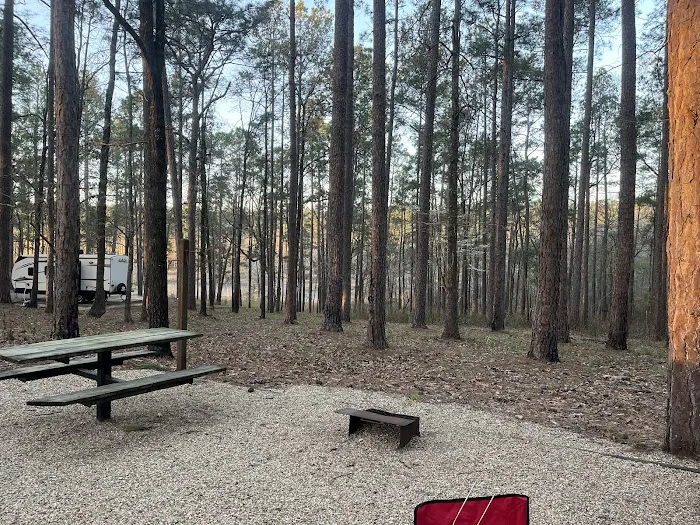 Turkey Fork Recreation Area 3
