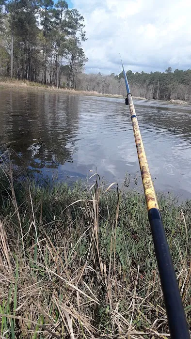 Turkey Fork Recreation Area 6