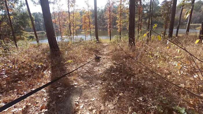 Turkey Fork Recreation Area 10