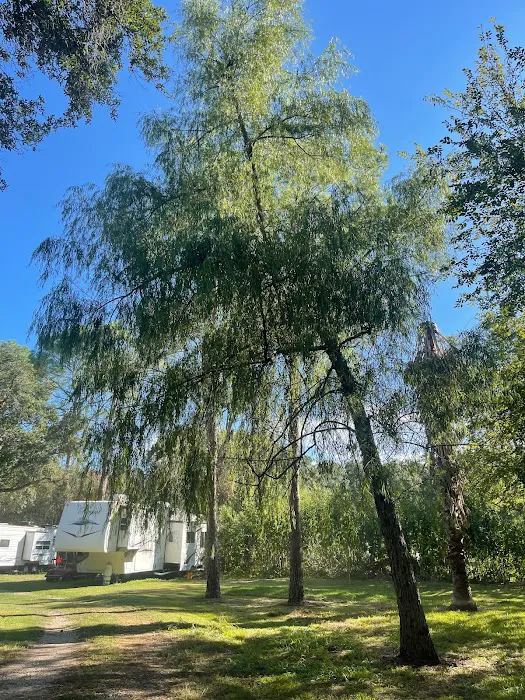 Rossi Properties LLC 7