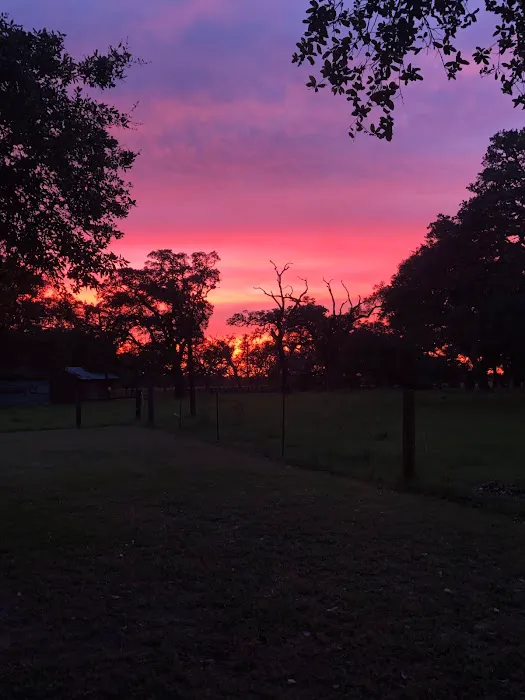 Country Oaks RV Park 1