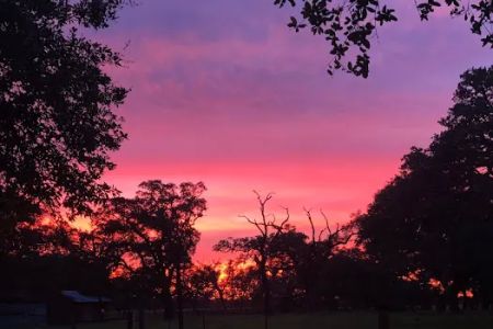Country Oaks RV Park