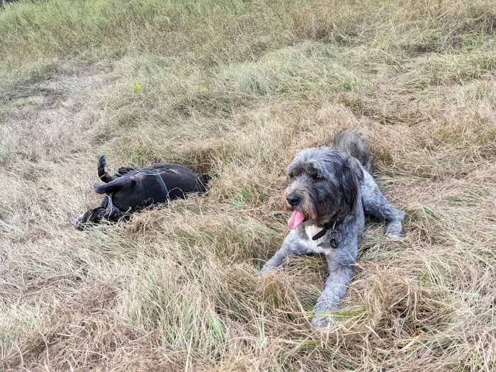 Broken Oak River Park 8