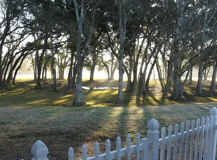 Dee's RV Park 5