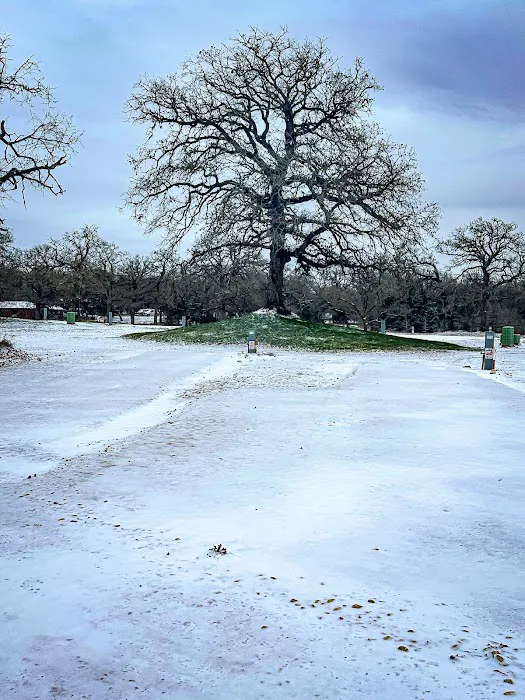 Texas Elks Camp 1