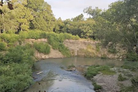 Palmetto State Park Tent Campground
