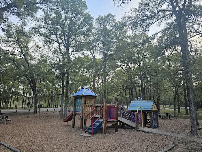 Palmetto State Park Tent Campground 4