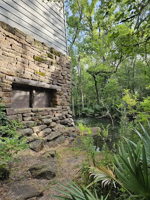 Palmetto State Park Tent Campground 8