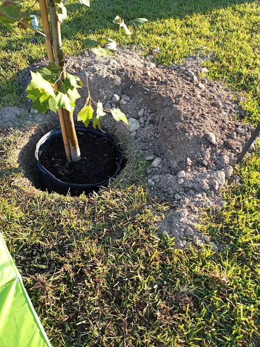 Parqueo de mi RV para el trabajo 7