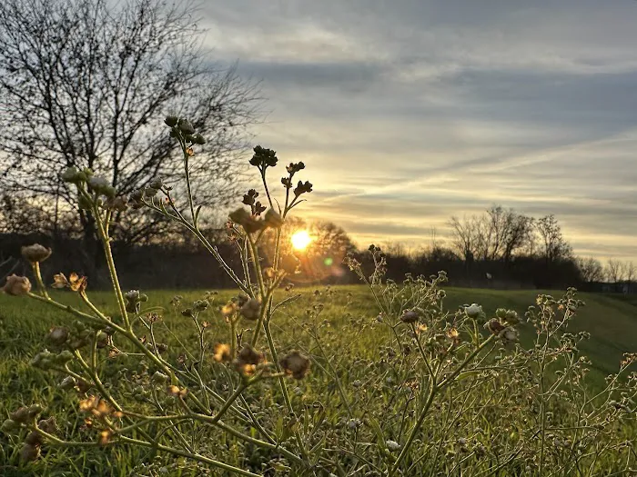 River Ranch 9