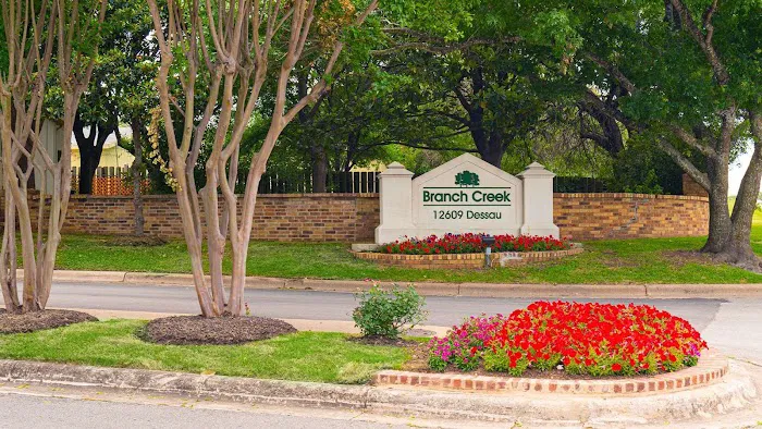 Branch Creek 2