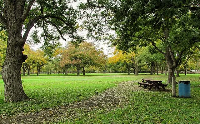 Pecan Park Mobile Homes 3