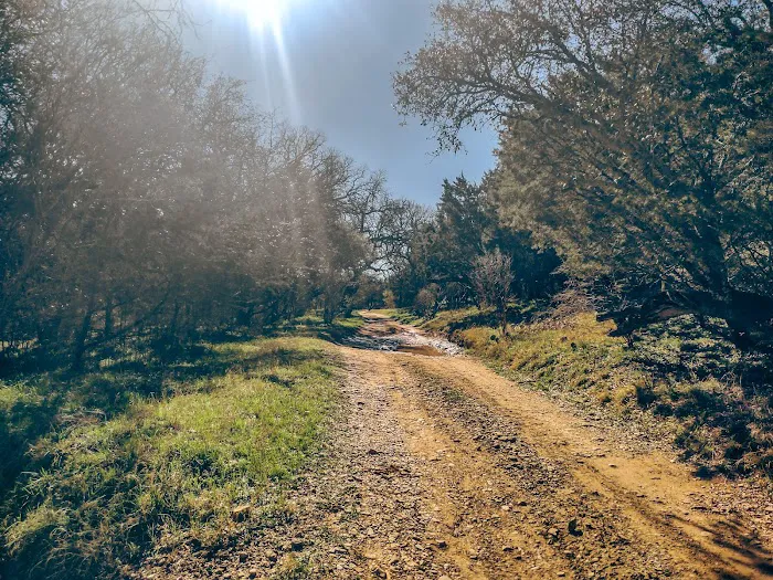 Sulphur Springs Camp 5