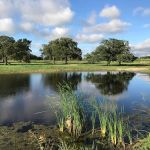 OUT IN THE COUNTRY RV PARK