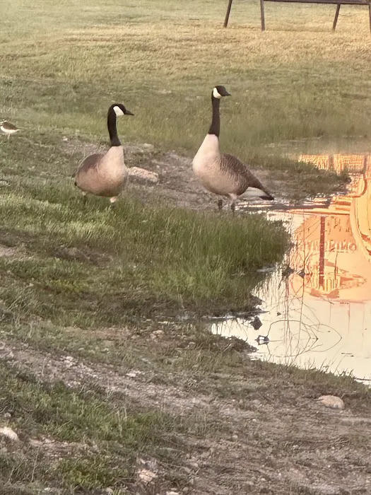 Granbury RV Park 10