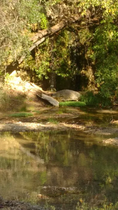 Lower pool (Camp El Tesoro) 1
